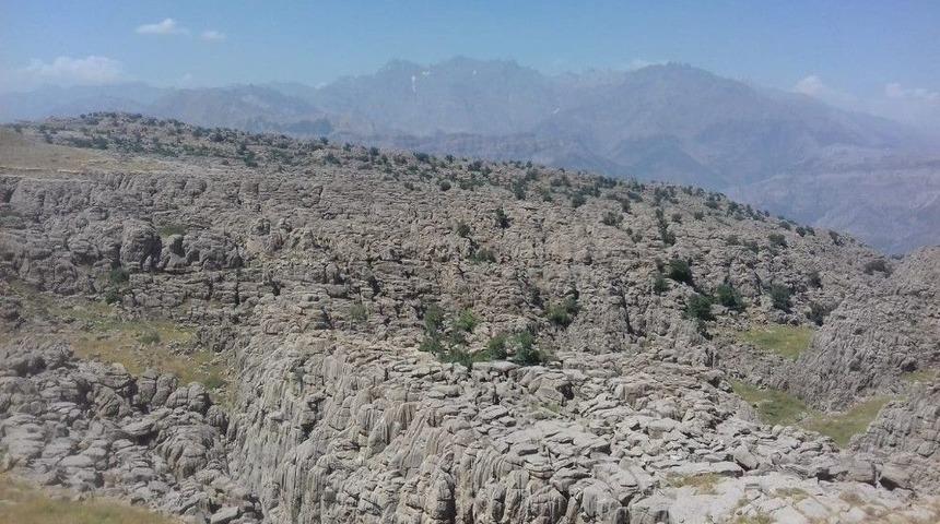Hakkari Valiliğinden &lsquo;saldırı&rsquo; A&ccedil;ıklaması