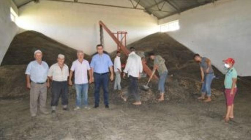 Yağlık Ayçiçeği Yüzleri Güldürdü