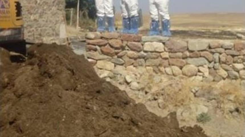 Sivas’ta Şarbon Şüphesi İle Karantina