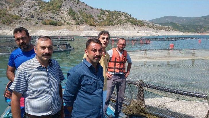 (özel) Almus Baraj Gölünde Su Seviyesinin Düşmesi Balıkçıları Endişelendiriyor G3