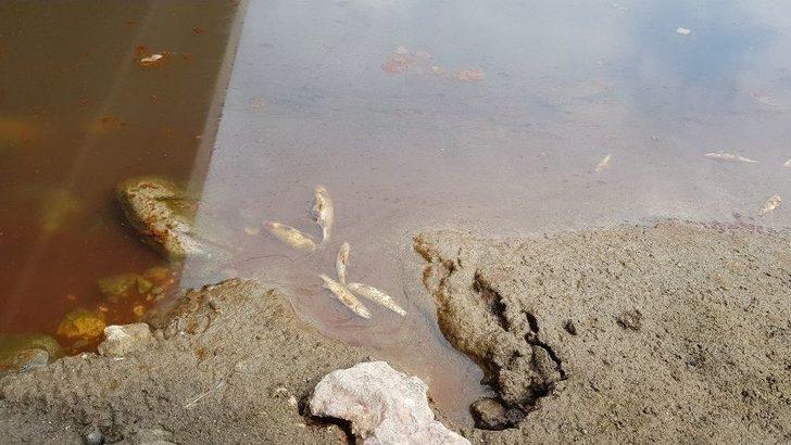 Kimyasal Yüklü Tanker Çaya Uçtu: 1 Ölü G3