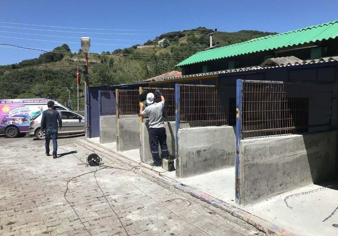 Sokak Hayvanları Rehabilitasyon Ve Bakım Merkezi Yenileniyor
