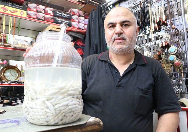 (özel) Kenger Sakızı Dolarla Yarışıyor G1