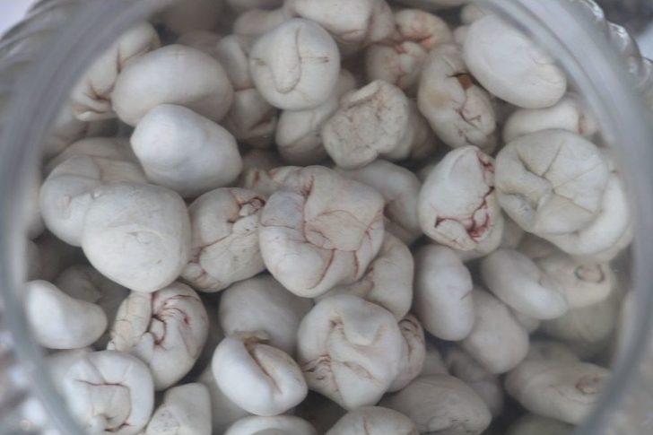 (özel) Kenger Sakızı Dolarla Yarışıyor G5