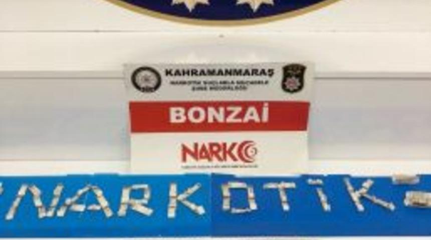 Kahramanmaraş’ta Uyuşturucu Operasyonu: 1 Gözaltı