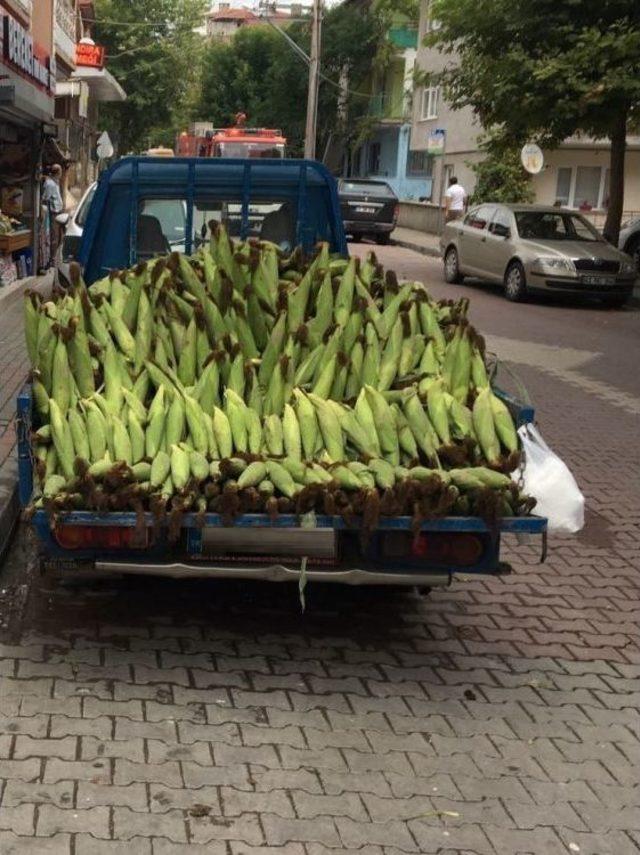 İzmit Zabıtası’ndan 51 Seyyar Satıcıya İşlem