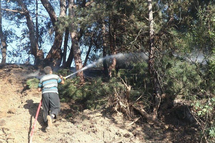 Tarım Arazisinde Başlayan Yangında 15 Hektar Alan Zarar Gördü G3