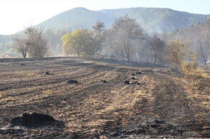 Tarım Arazisinde Başlayan Yangında 15 Hektar Alan Zarar Gördü G4