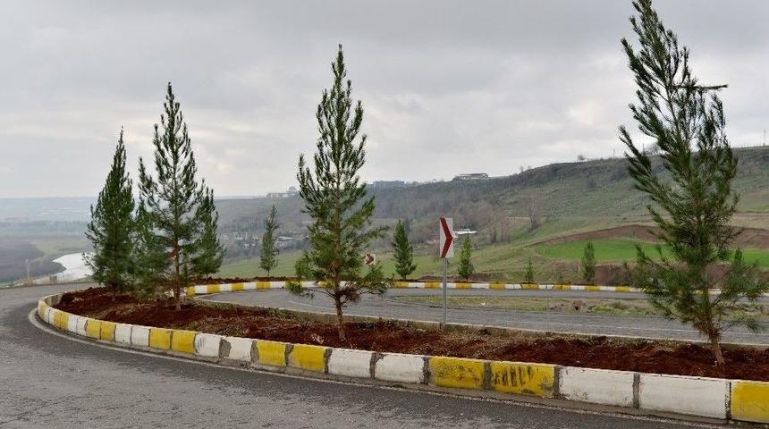 Bağıvar Caddesi Ağa&ccedil;landırıldı