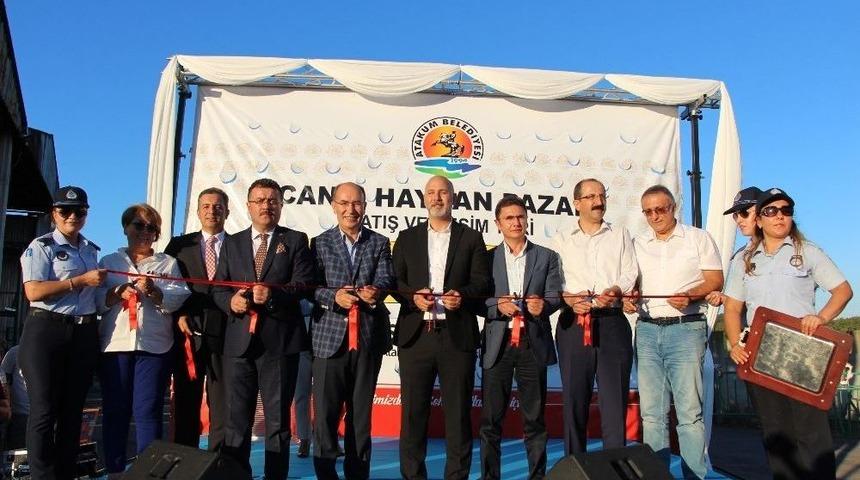 Atakum Belediyesi Canlı Hayvan Pazarı Satış Ve Kesim Yeri A&ccedil;ıldı