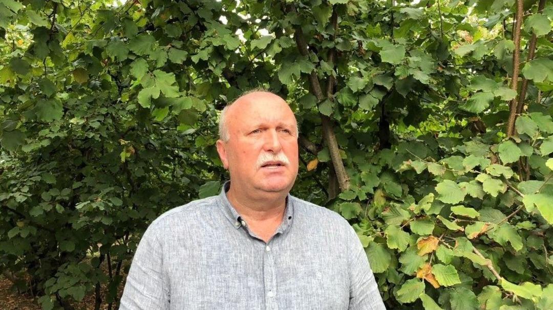 &Uuml;reticisinin Kabusu &lsquo;amerikan Beyaz Kelebeği&rsquo; Fındıkları Sardı