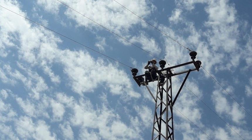 Vedaş’tan ‘kuşkonmaz Montajı Ve Orta Gerilim İzolasyon’ Çalışması