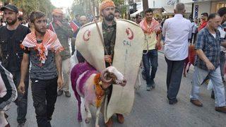 Denizli’de Koçlar, İspanya Boğa Güreşlerinin Alternatifi Oluyor