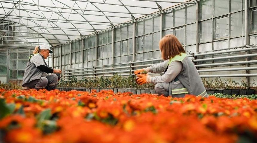 Tepebaşı&rsquo;nın &Ccedil;i&ccedil;ekleri Kenti S&uuml;sl&uuml;yor