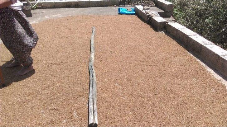 Bulgur Kaynatma Sezonu Başladı G2