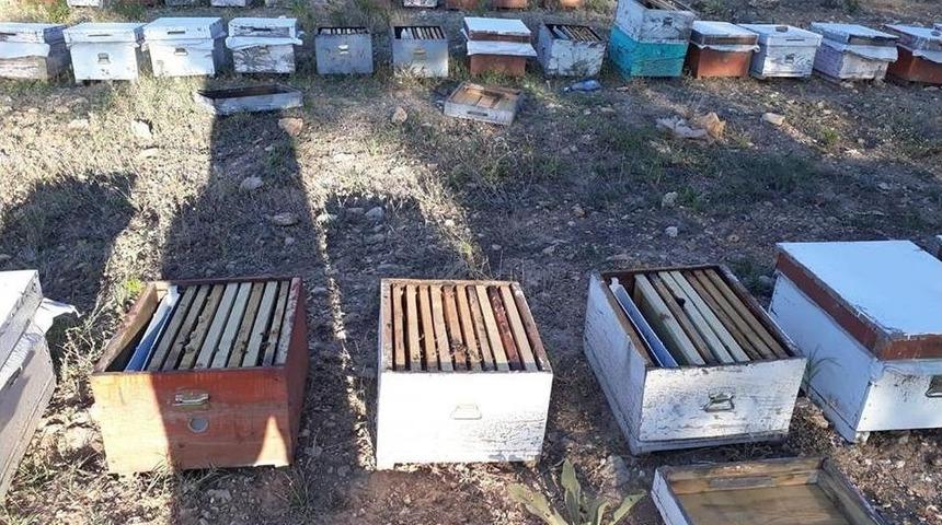Yaban Hayvanları Arı Kovanlarına Zarar Vermeye Başladı