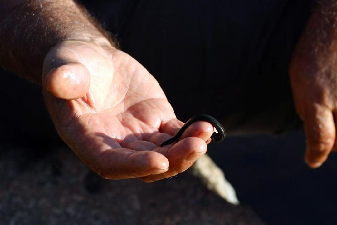 Hastalığına &Ccedil;are Arayan Bu G&ouml;le Gidiyor