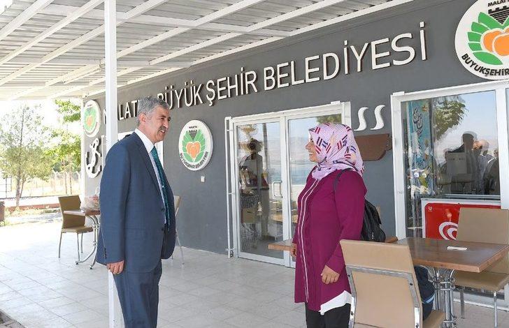 Atabey İskelesi’ne Modern Mesire Alanı Yapılıyor G4