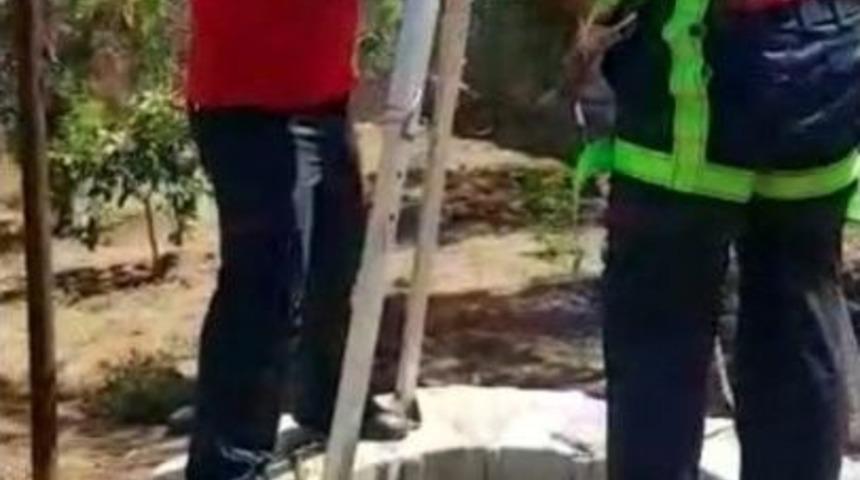 Kilis&rsquo;te Kuyuya D&uuml;şen Yavru Kedi Kurtarıldı