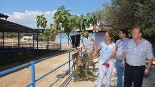 Dalama Hayvan Pazarı Bayrama Hazırlanıyor