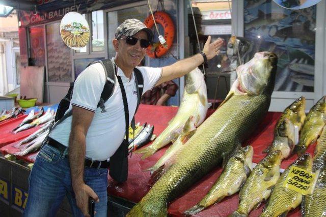 Elazığ’da Sezonun İlk Dev Turna Balığı Yakalandı