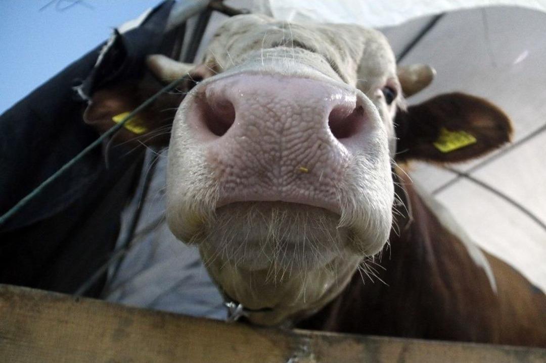 (&ouml;zel) Besicilerin 24 Saat Kurban N&ouml;beti