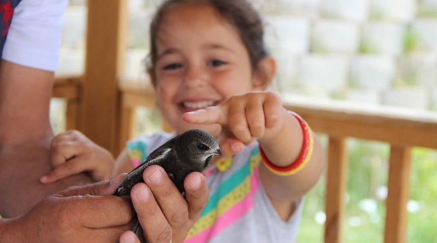 Yerde Nadir G&ouml;r&uuml;len Kuşlardan Biri Olan Ebabil Kuşu Erzurum&rsquo;da Bulundu
