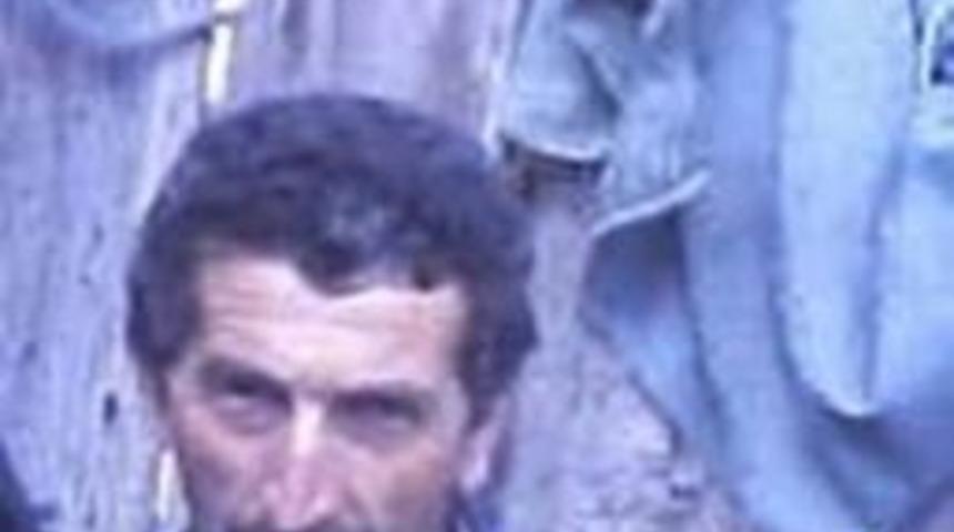 &Uuml;zerine Ağa&ccedil; Devrilen Şahıs, Hayatını Kaybetti