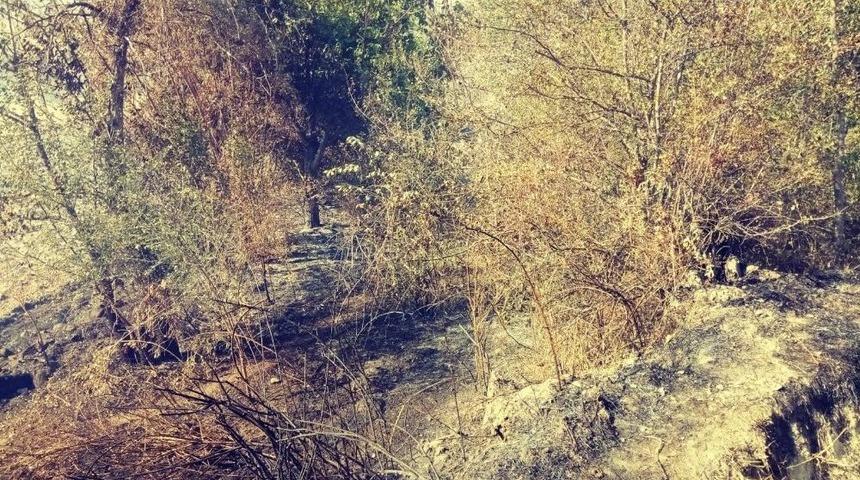 Osmancık’ta Yangın