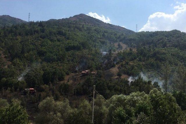 Gümüşhane’de Örtü Yangını