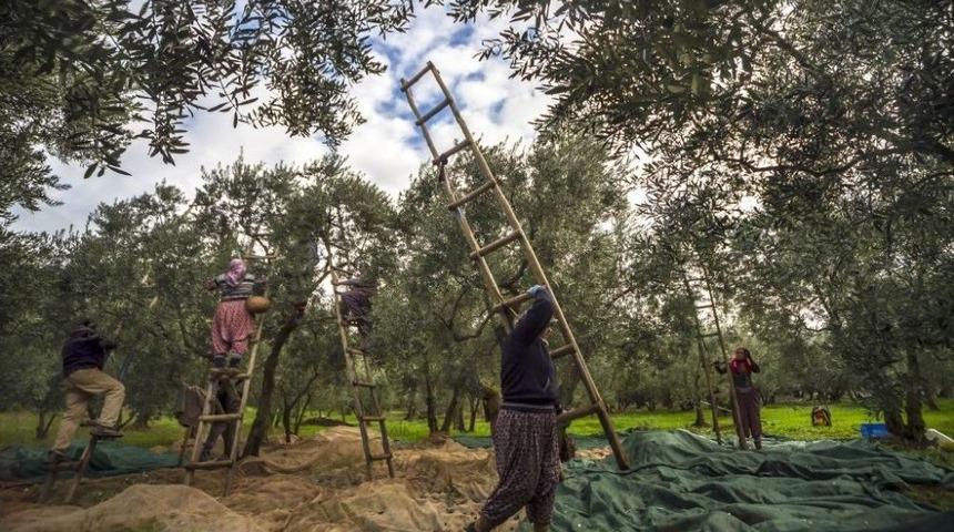 &ldquo;siyah Elmas&rdquo; Karelere Yansıdı