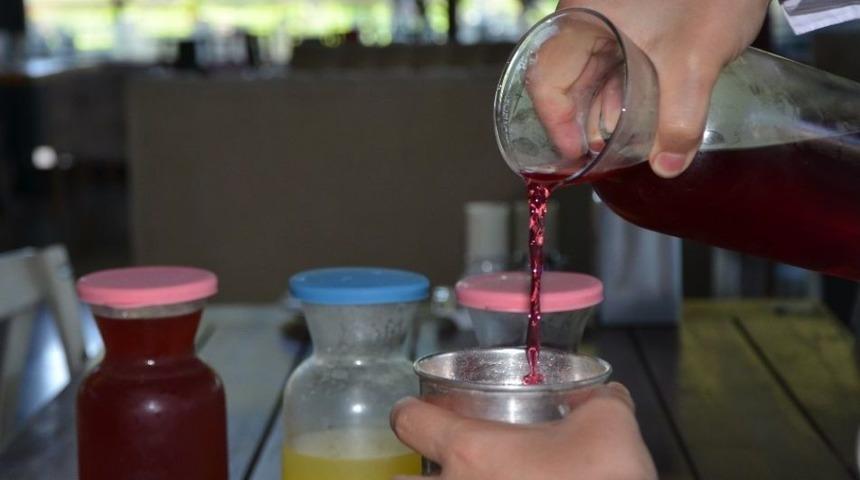 Sıcak G&uuml;nlere Şerbet, Komposto Ve Salata &Ouml;nerisi