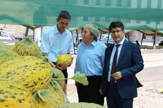 Rektör Taş, Osmaneli Karpuz Pazarını Gezdi