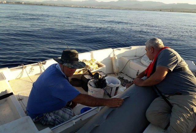 Antalya’da Av Yasağı Bulunan Orfoz Ve Lagos Denetimi