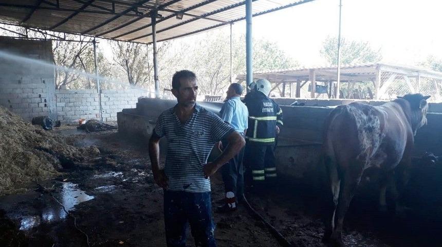 Hatay&rsquo;da Ahırda Yangın &Ccedil;ıktı