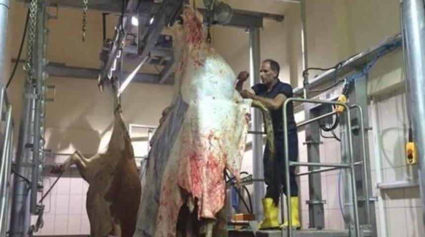 Demirözü İlçesine Modern Mezbahane