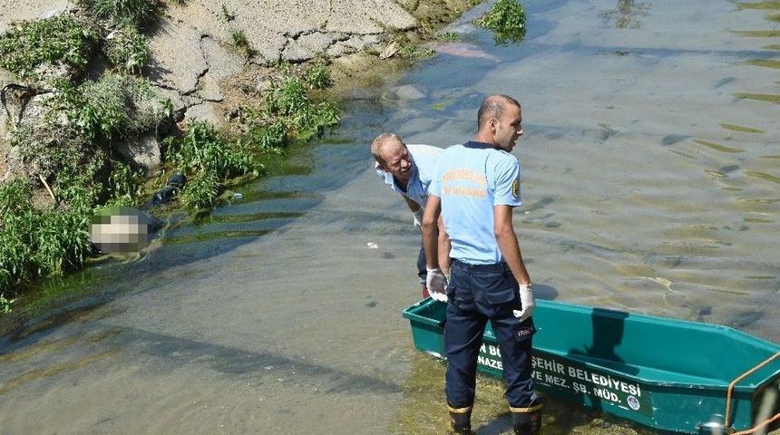 Mersin&rsquo;de Dsi Kanalında Erkek Cesedi Bulundu