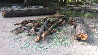 Sütçüler Yazılı Kanyon’da Hamak Faciası: 1 Yaralı