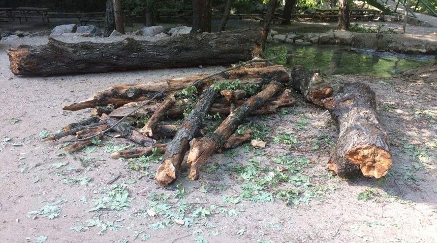 Sütçüler Yazılı Kanyon’da Hamak Faciası: 1 Yaralı