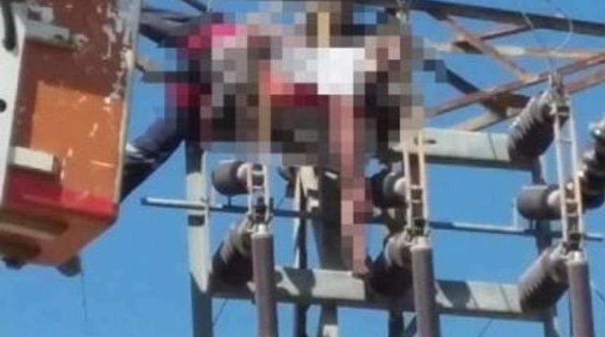 Elektrikçi, Bakım Yapmak İstediği Trafoda Akıma Kapıldı