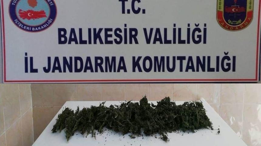 Jandarmadan Uyuşturucu Operasyonu