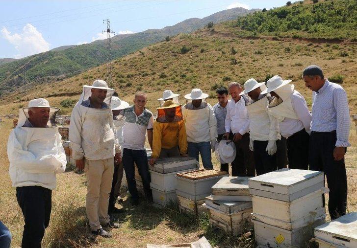 Terör Bitti Bölgeye Huzur Geldi G2