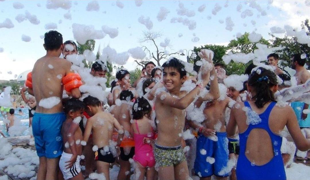 (&ouml;zel) Van G&ouml;l&uuml; Sahilinde K&ouml;p&uuml;k Partisi