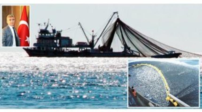 Denizlerde Avlanma Sezonu Başlıyor