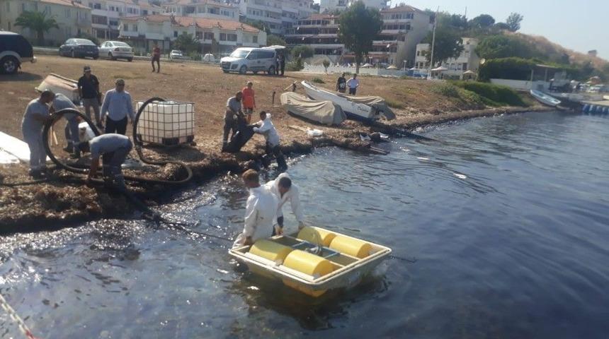 Foça’da Meydana Gelen Ağır Yakıt Sızıntısı Denizi Kirletti
