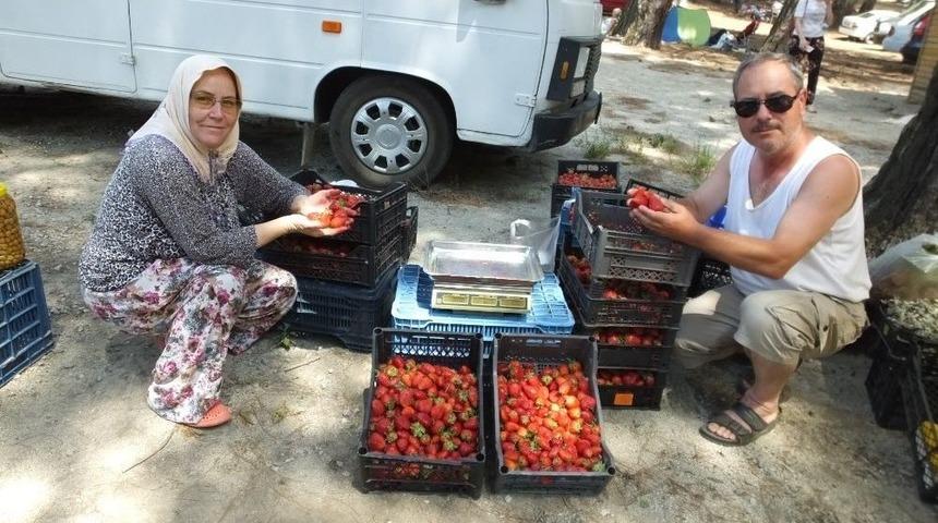 Kazdağı &Ccedil;ileği &Uuml;reticileri Sevindirdi
