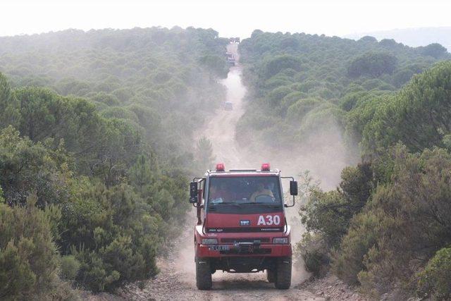 Yalova Orman Yangınlarına Karşı Teyakkuzda