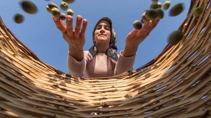 &lsquo;d&uuml;nden Bug&uuml;ne D&ouml;şemealtı&rsquo; Fotoğraf Yarışması Sonu&ccedil;landı