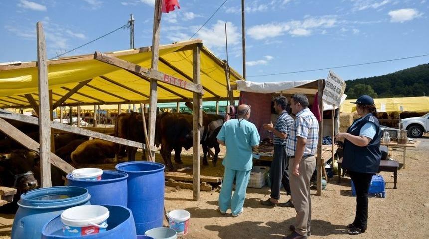 Maltepe&rsquo;de Kurban Denetimi