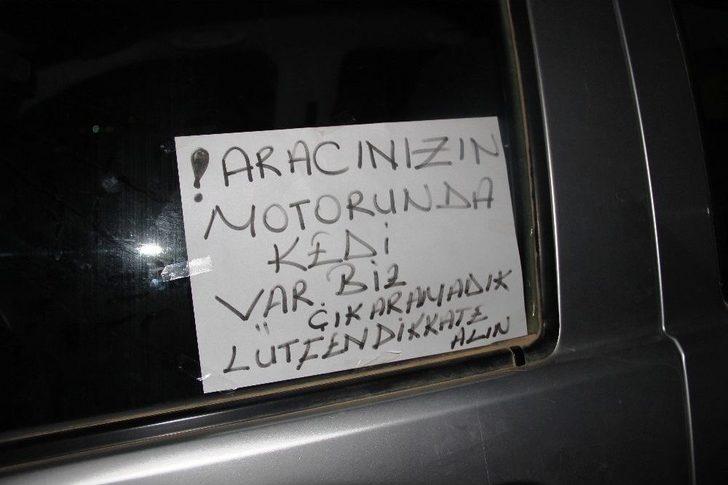 Araç Kaputuna Sıkışan Kediyi Çıkarmak İçin Denemedikleri Yöntem Kalmadı G1